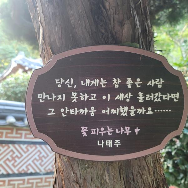 소리노리