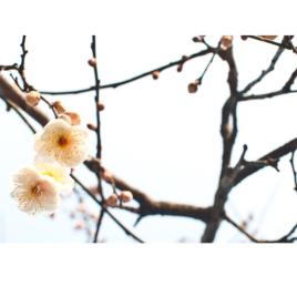 사주팔자 23년 2월 丁화일간 운세