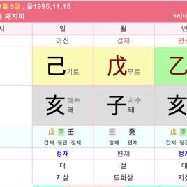 설인아 사주